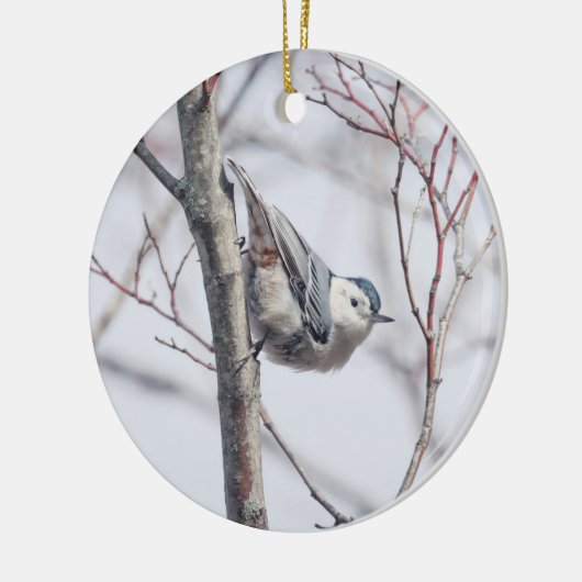 Cute White-Breasted Nuthatch Ornament (Links)