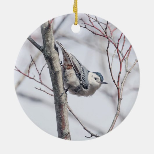 Cute White-Breasted Nuthatch Ornament (Achterkant)