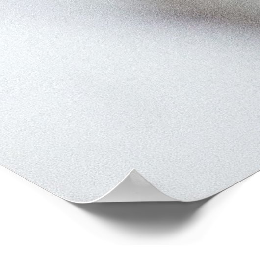 Cute White Brown Grey Black Cat Slaping Poster (Hoek)