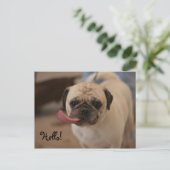 Cute White Bulldog Hallo Briefkaart (Staand voorkant)
