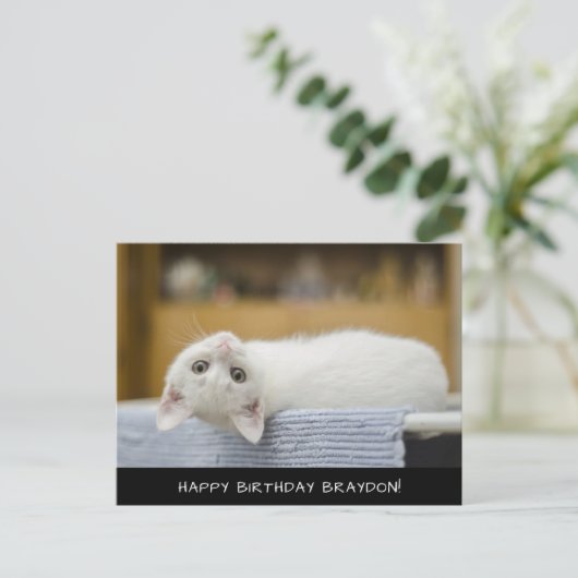 Cute White Cat Birthday Briefkaart (Staand voorkant)