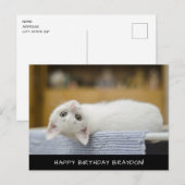 Cute White Cat Birthday Briefkaart (Voorkant / Achterkant)