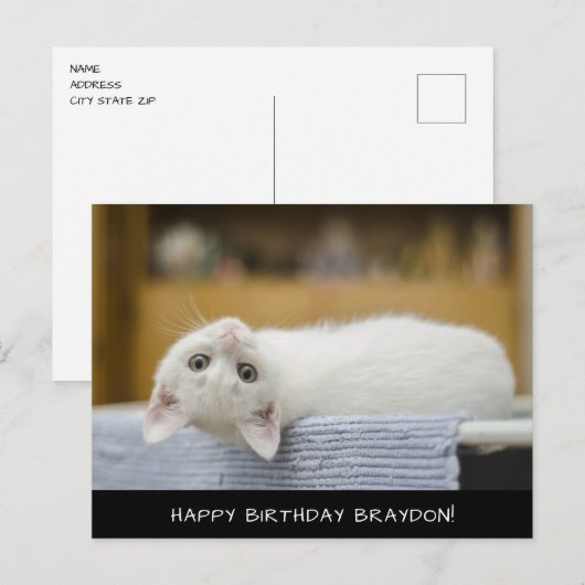 Cute White Cat Birthday Briefkaart (Voorkant / Achterkant)