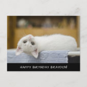 Cute White Cat Birthday Briefkaart (Voorkant)
