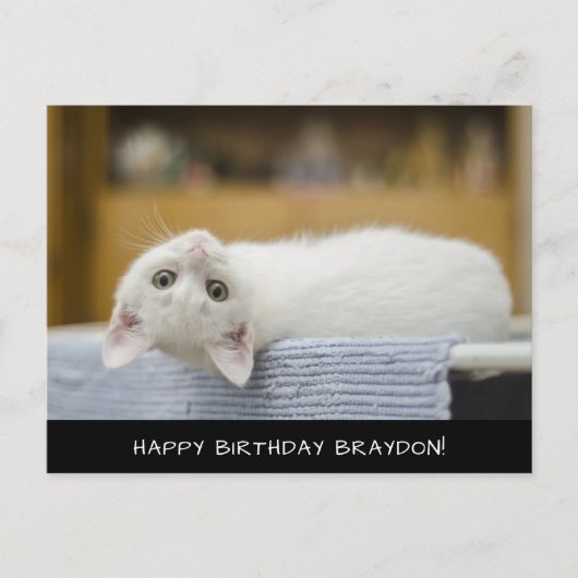 Cute White Cat Birthday Briefkaart (Voorkant)
