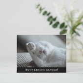 Cute White Cat Birthday Briefkaart (Staand voorkant)