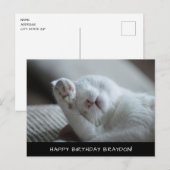 Cute White Cat Birthday Briefkaart (Voorkant / Achterkant)