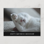 Cute White Cat Birthday Briefkaart (Voorkant)