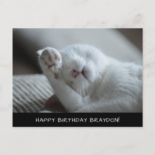 Cute White Cat Birthday Briefkaart (Voorkant)
