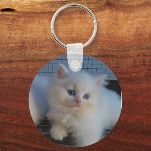 CUTE WHITE CAT KITTEN PERSIAN SLEUTELHANGER (Voorkant)