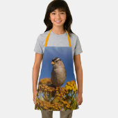 Cute White-Crowned Sparrow Sitting on the Tansy Schort (Insitu)