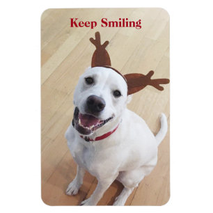 Cute White Dog blijft glimlachen en moedigt Kerstm Magneet
