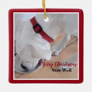 Cute White Dog Drink Water Red Kerstplein Keramisch Ornament
