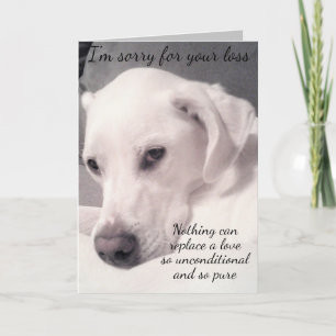 Cute White Dog Grey Loss of Pet Sympathia Kaart