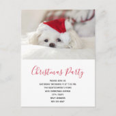 Cute White Dog in een Red Kerstfeest Pet Party Uitnodiging Briefkaart (Voorkant)
