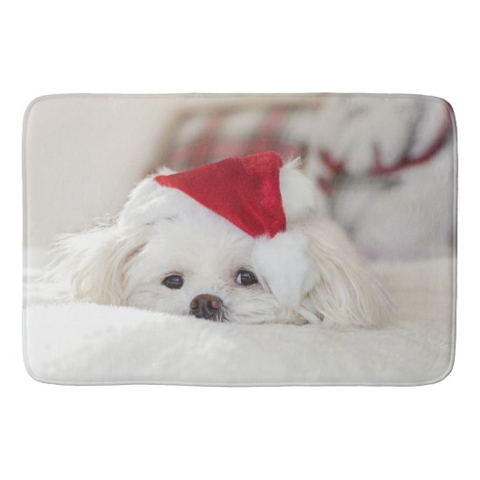 Cute White Dog in een Rode Kerstmis Pet Badmat (Voorkant)