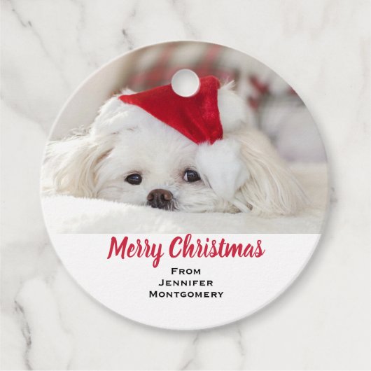 Cute White Dog in een Rode Kerstmis Pet Bedankjes Labels (Voorkant)