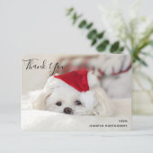 Cute White Dog in een Rode Kerstmis Pet Bedankkaart (Staand voorkant)