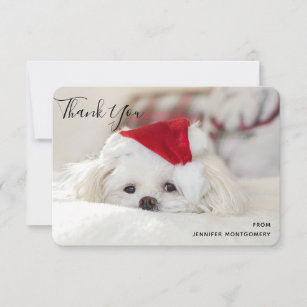 Cute White Dog in een Rode Kerstmis Pet Bedankkaart