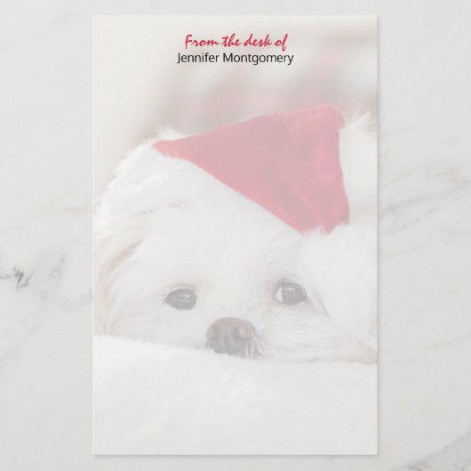 Cute White Dog in een Rode Kerstmis Pet Briefpapier (Voorkant)