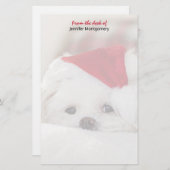 Cute White Dog in een Rode Kerstmis Pet Briefpapier (Voorkant / Achterkant)