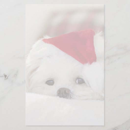 Cute White Dog in een Rode Kerstmis Pet Briefpapier (Voorkant)