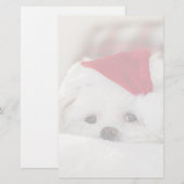 Cute White Dog in een Rode Kerstmis Pet Briefpapier (Voorkant / Achterkant)