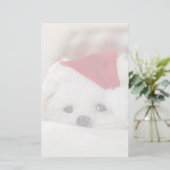 Cute White Dog in een Rode Kerstmis Pet Briefpapier (Staand voorkant)