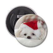 Cute White Dog in een Rode Kerstmis Pet Button Flesopener (Voorkant)