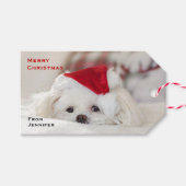 Cute White Dog in een Rode Kerstmis Pet Cadeaulabel (Voorkant (Horizontaal))