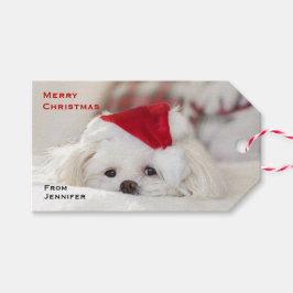 Cute White Dog in een Rode Kerstmis Pet Cadeaulabel