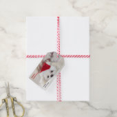 Cute White Dog in een Rode Kerstmis Pet Cadeaulabel (Met Touw)