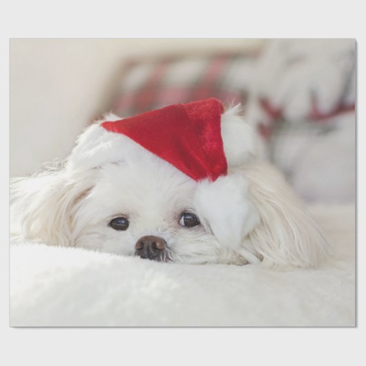 Cute White Dog in een Rode Kerstmis Pet Cadeaupapier (Vlak)