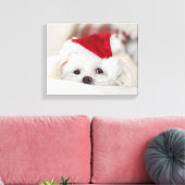 Cute White Dog in een Rode Kerstmis Pet Canvas Afdruk (Insitu (Woonkamer))