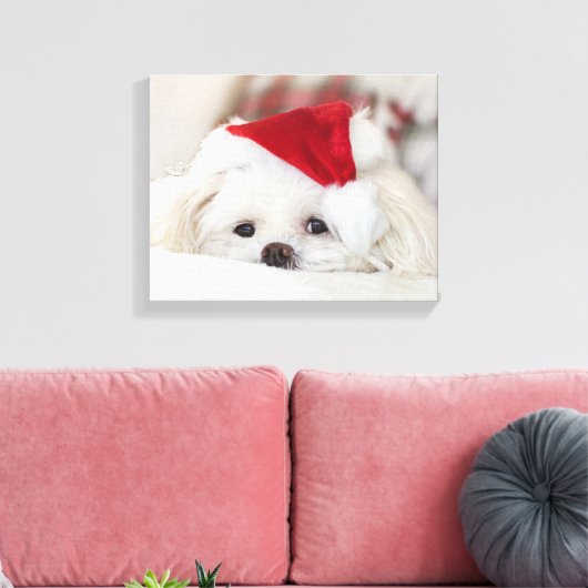 Cute White Dog in een Rode Kerstmis Pet Canvas Afdruk (Insitu (Woonkamer))