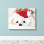 Cute White Dog in een Rode Kerstmis Pet Canvas Afdruk (Insitu (Houten vloer))