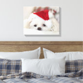 Cute White Dog in een Rode Kerstmis Pet Canvas Afdruk (Insitu (Slaapkamer))