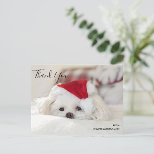 Cute White Dog in een Rode Kerstmis Pet Dank je we Briefkaart (Staand voorkant)