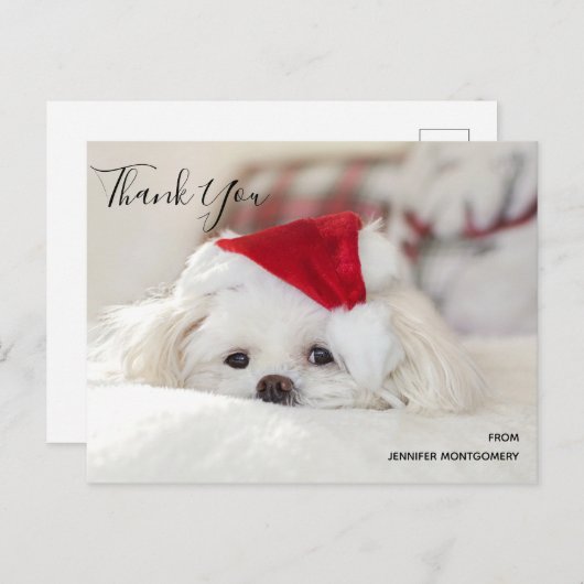 Cute White Dog in een Rode Kerstmis Pet Dank je we Briefkaart (Voorkant / Achterkant)
