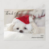 Cute White Dog in een Rode Kerstmis Pet Dank je we Briefkaart (Voorkant)