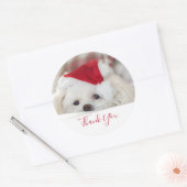 Cute White Dog in een Rode Kerstmis Pet Dank je we Ronde Sticker (Envelop)