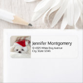 Cute White Dog in een Rode Kerstmis Pet Etiket (Insitu)