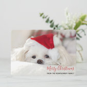 Cute White Dog in een Rode Kerstmis Pet Feestdagenkaart (Staand voorkant)