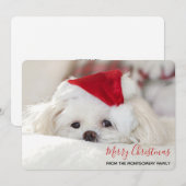 Cute White Dog in een Rode Kerstmis Pet Feestdagenkaart (Voorkant / Achterkant)