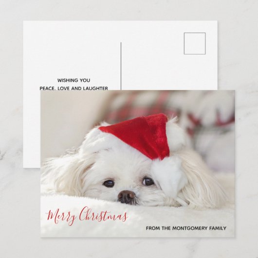 Cute White Dog in een Rode Kerstmis Pet Feestdagenkaart (Voorkant / Achterkant)