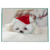 Cute White Dog in een Rode Kerstmis Pet Groot Cadeauzakje (Voorkant)