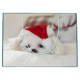 Cute White Dog in een Rode Kerstmis Pet Groot Cadeauzakje