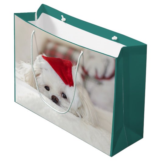 Cute White Dog in een Rode Kerstmis Pet Groot Cadeauzakje (Voorkant Gekanteld)