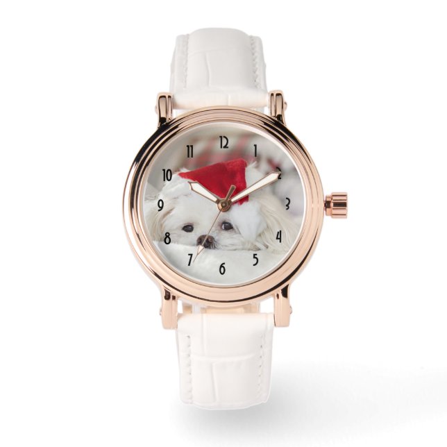 Cute White Dog in een Rode Kerstmis Pet Horloge (Voorkant)