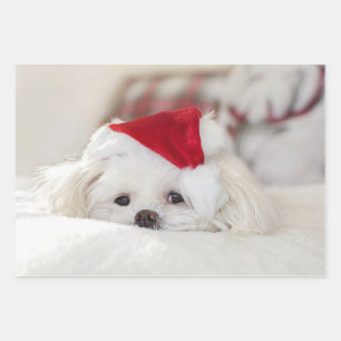 Cute White Dog in een Rode Kerstmis Pet Inpakpapier Vel